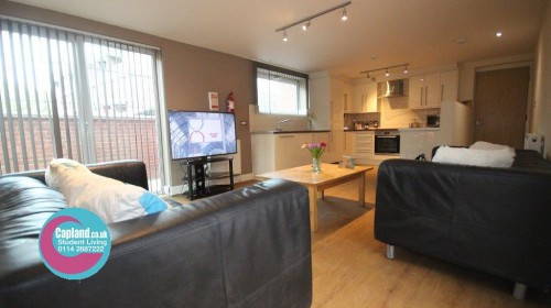 Living space @ Flat 1 79 William Street Apartment